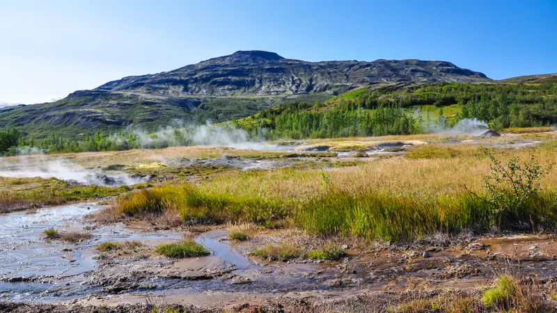 Steam rising from wet geothermal ground and low grass beneath the hills at Geysir