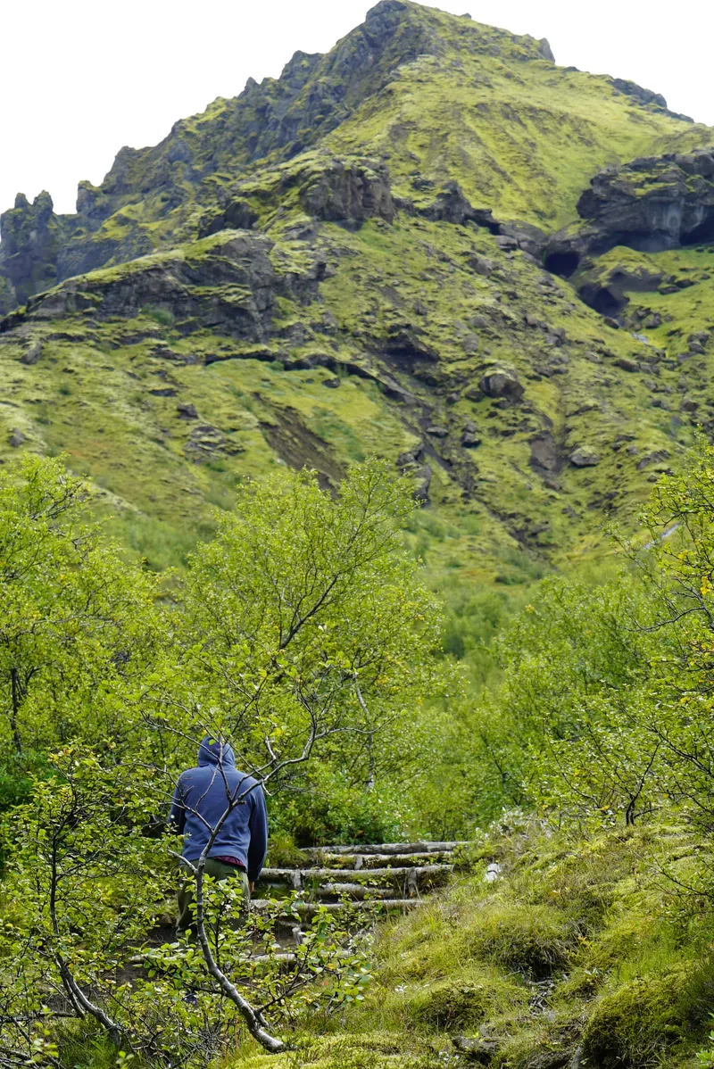 A hiker climbing wooden steps through leafy woodland beneath a steep green mountain in Þórsmörk