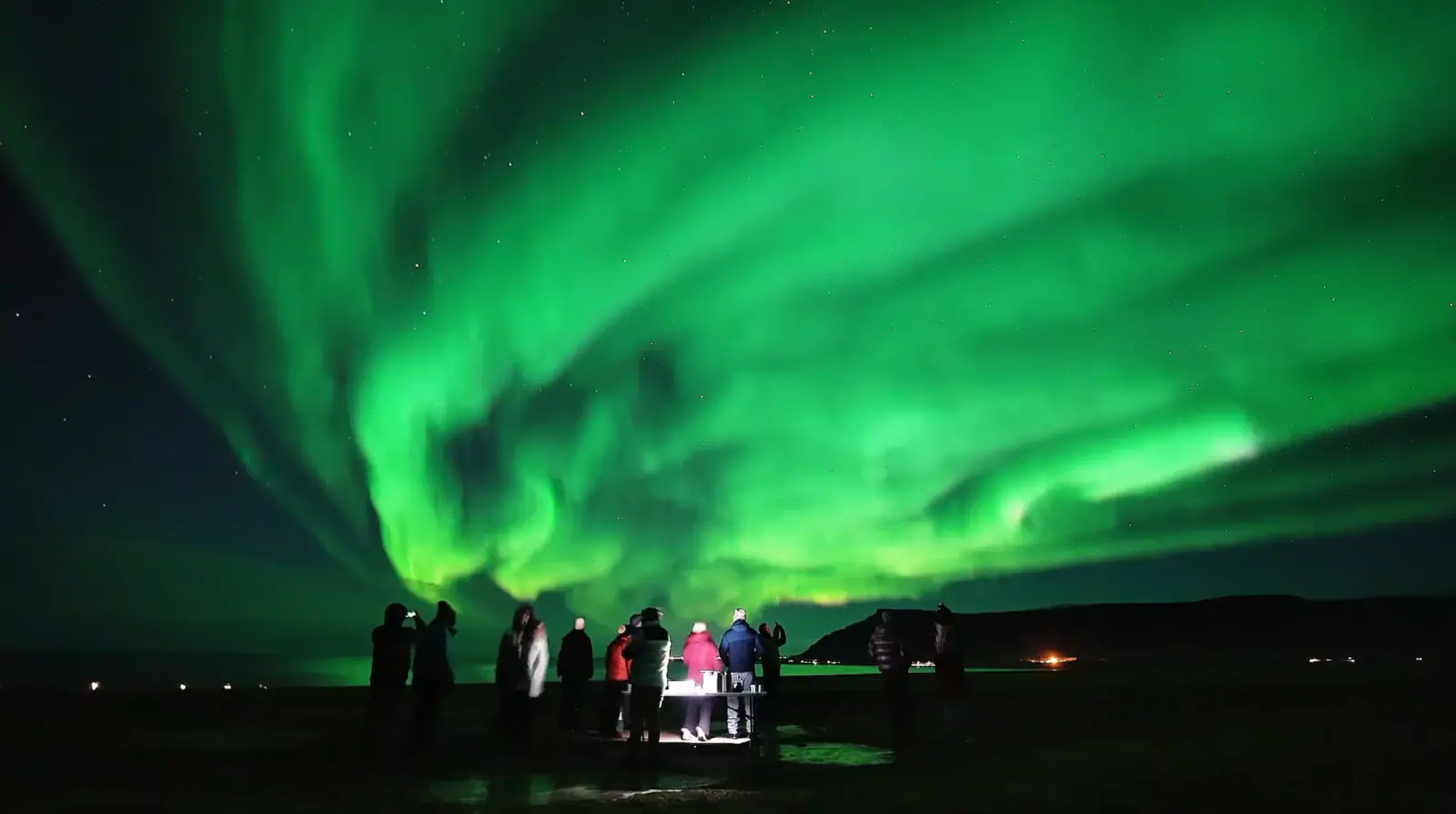 A group watching bright green auroral curtains beside a coastal horizon