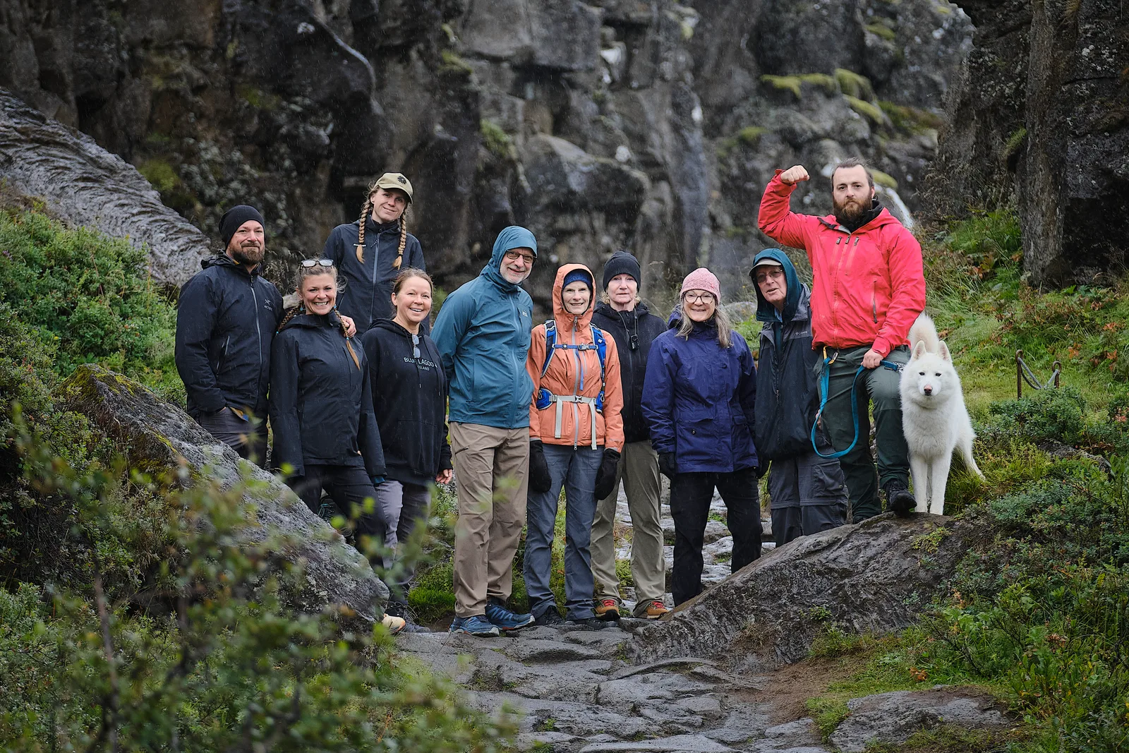 A Norse walking group and a white dog between the dark rock walls at Þingvellir