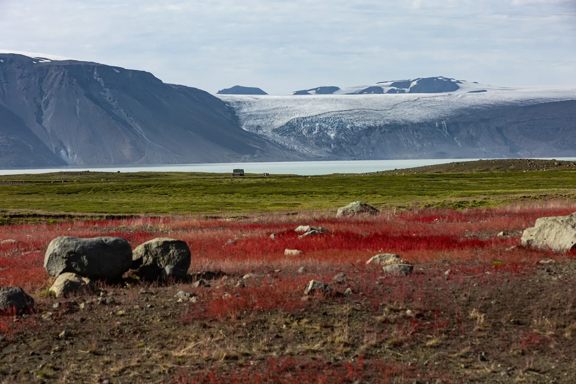 Colorful landscape with red grass, green grass, a lake, a mountain and a glacier in the background.
